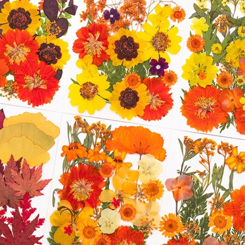 Gedroogde geperste bloem voor  - Resin Craft Ideas recensie en prijs